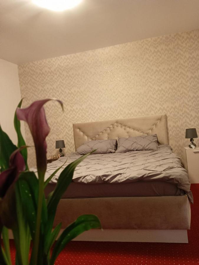 Apartmán Karina House Brašov Exteriér fotografie